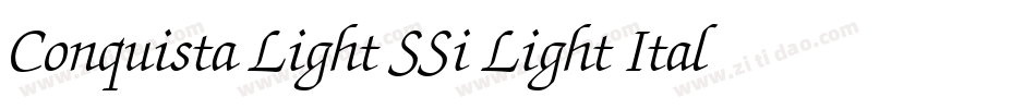 Conquista Light SSi Light Italic字体转换